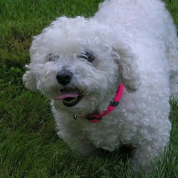 Meet your Posher, Diane - Picture 1 of 1